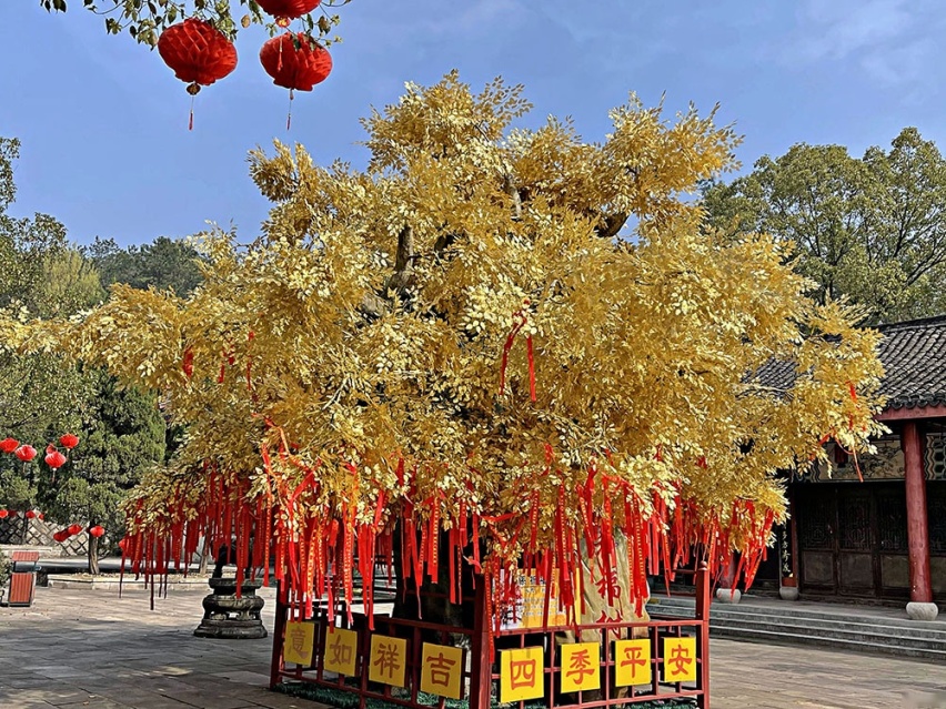 与Z世代的精神契合 起亚凯酷横店之旅（后篇）