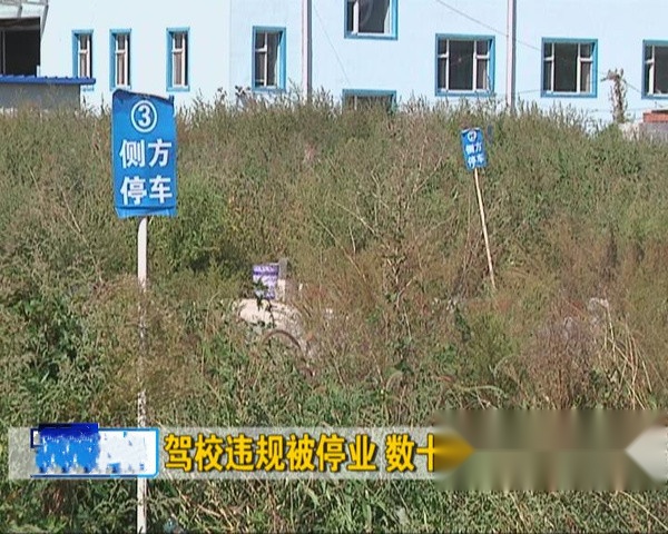 准备考驾照 一千起上不封顶 到底差在哪儿？
