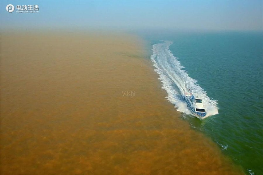 逃离城市：去东营，看黄河入海，吃海鲜！