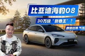 比亚迪海豹08：颜值科技全拉满，30万级“新卷王”？