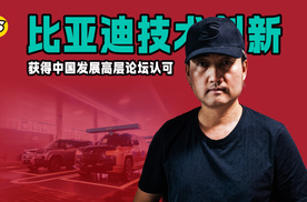 企业要坚持长期主义 比亚迪技术创新获得中国发展高层论坛认可