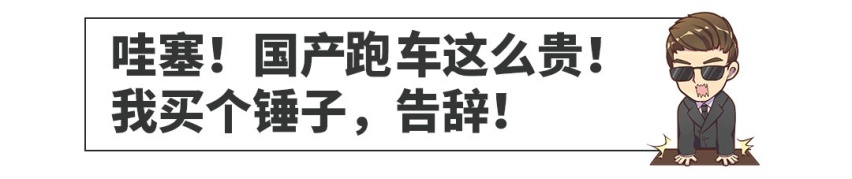 “这些车国产我一定买！”“啊，这么贵，告辞！”