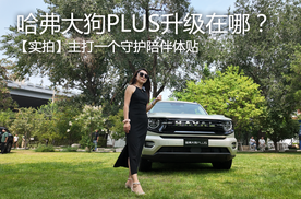 主打守护陪伴体贴 实拍哈弗大狗PLUS升级在哪？