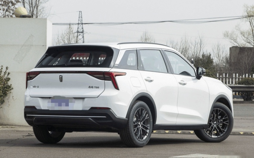 样子不错还便宜，10万出头看这两台车，性能强悍还特能“装”
