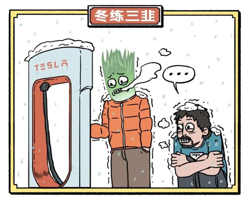 特斯拉用户韭菜图鉴