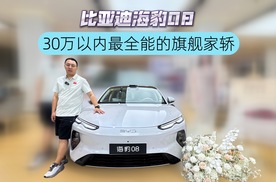 30万以内最全能的旗舰家轿比亚迪海豹08上市