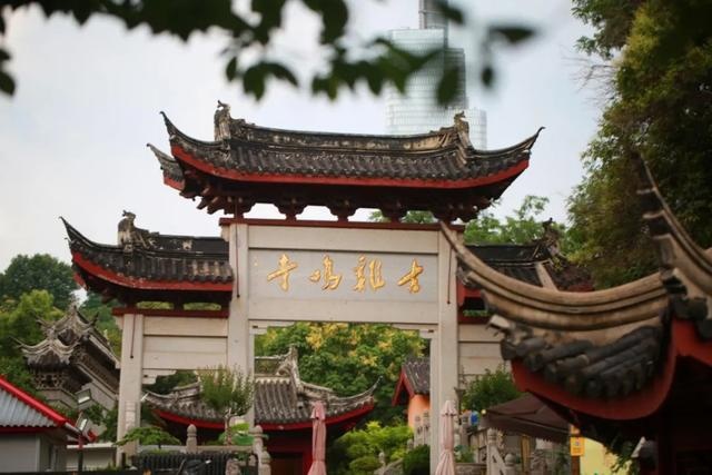 夜泊古秦淮、日探紫金山，梧桐下与北京现代菲斯塔畅游南京