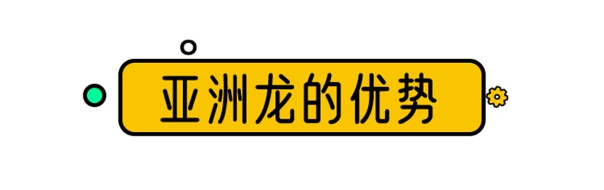 都说亚洲龙很好，跟这2台车比谁更香？