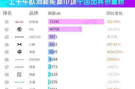 重大突破！比亚迪引领欧洲新能源市场，成中国品牌出海的新标杆