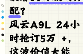 【乐阳频道】风云A9L   13.99万的车，装着50万级的标配？