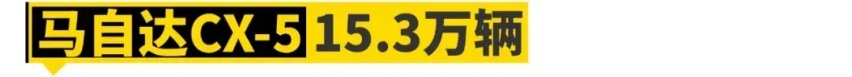 这11款国内冷门车，在国外卖爆了！