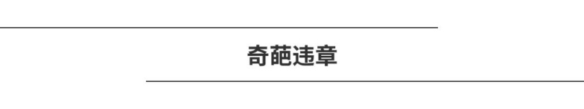 开车上路还能遛狗，究竟有哪些奇葩的交通违章让人毁三观？