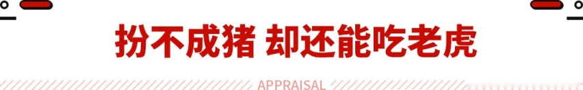 扮不了猪 但绝对能吃老虎！全新奥迪S3 2.0T+四驱 4秒多破百！