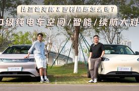 A0级纯电车比亚迪海豚&吉利星愿怎么选？