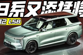 智己LS8上市 24.98万元起售是真便宜？
