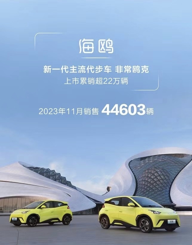 比亚迪海洋网11月销量亮眼！