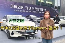 天神之眼蓝标等于Burberry 蓝标?!