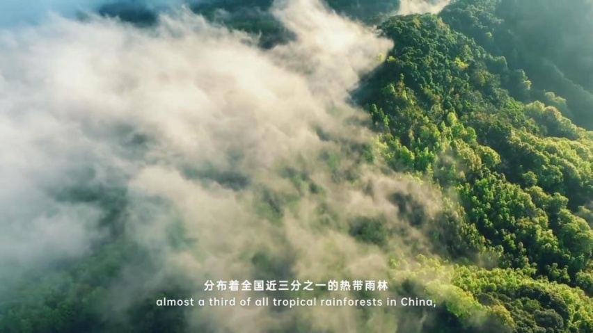 绿色出行是我们对美好生活的向往，与比亚迪共同探寻神秘的海南岛