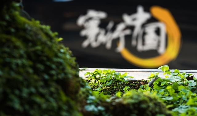 昂科旗：寻得世间芙蓉镇，犹思天下岳阳楼