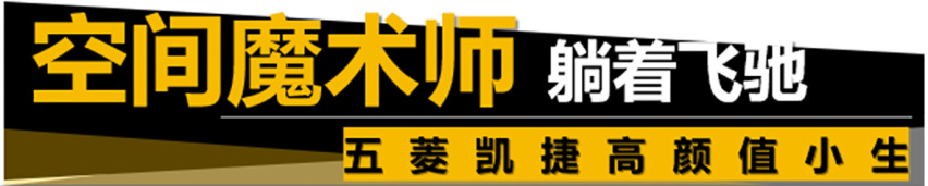 【帮你选车】5座、6座、7座不稀奇，“大四座”见过没？