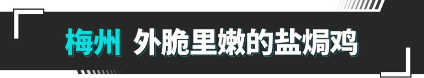 和ARIYA艾睿雅一起吃遍大湾区！放心且踏实，不虚此行！