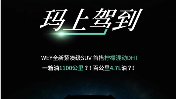 WEY发布新车玛奇朵，沃尔沃新款XC60官图泄露丨今日车闻