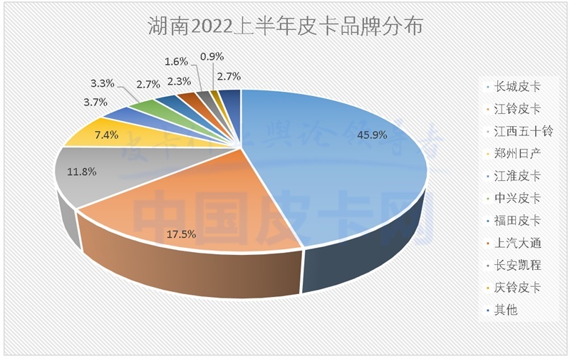 详解2022上半年全国31省皮卡终端销量（上）