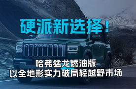 硬派新选择！哈弗猛龙燃油版以全地形实力破局轻越野市场