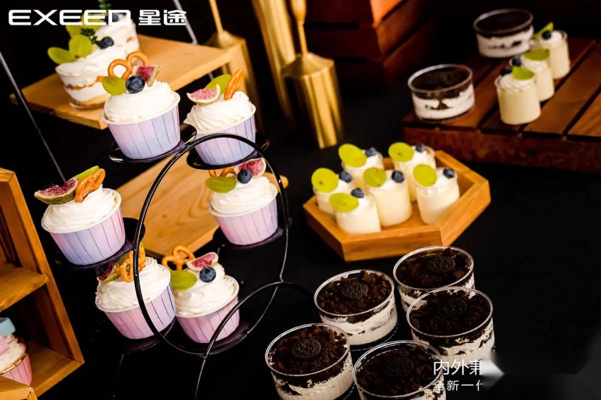 星途全新一代凌云上市会-合肥站圆满落幕