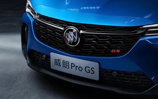 乐享生活，亦或追风少年！2022款威朗Pro GS购车手册