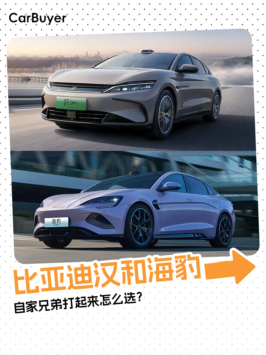 ���ǵϺ��ͺ������Լ��ֵܴ�������ôѡ��