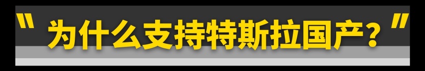 中国为什么要拯救美国特斯拉？