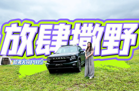 聊一聊哈弗大狗PLUS 如何放肆撒野