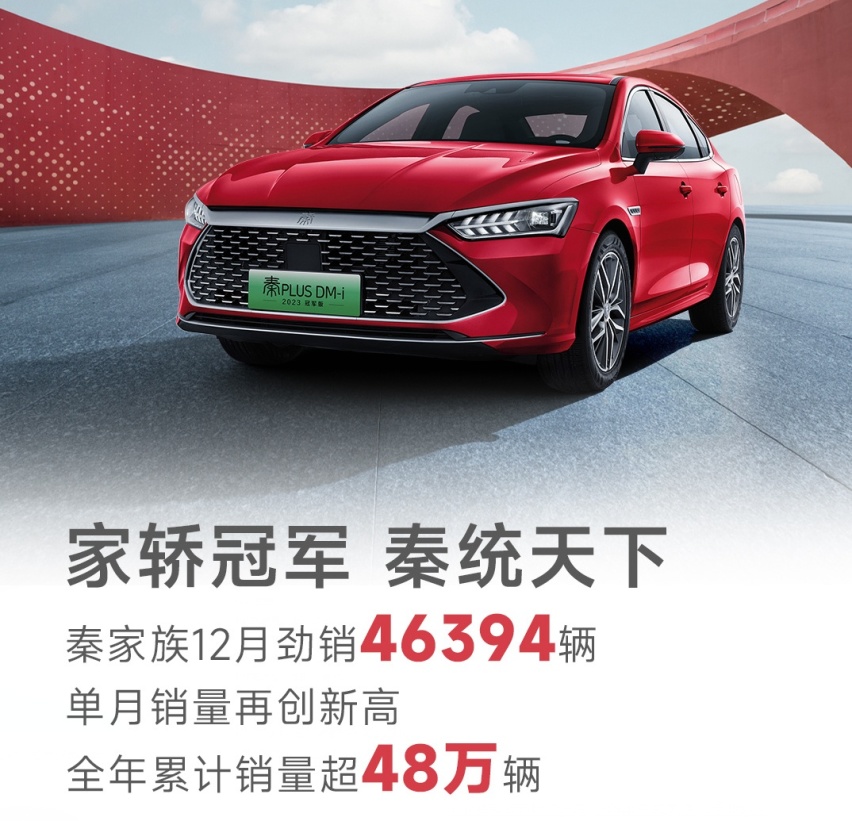 国货之光，迪子一年卖了302万辆，长脸又解气！