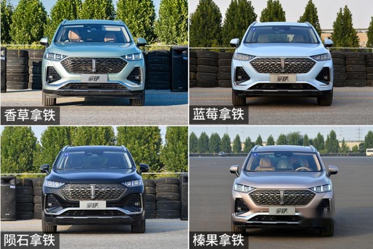 续航超1000公里 WEY品牌第二杯咖啡 拿铁DHT上市 买哪杯最值？