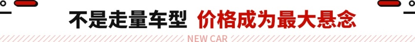 堪称比亚迪最美SUV！全新车型官图发布 平替版帕拉梅拉？