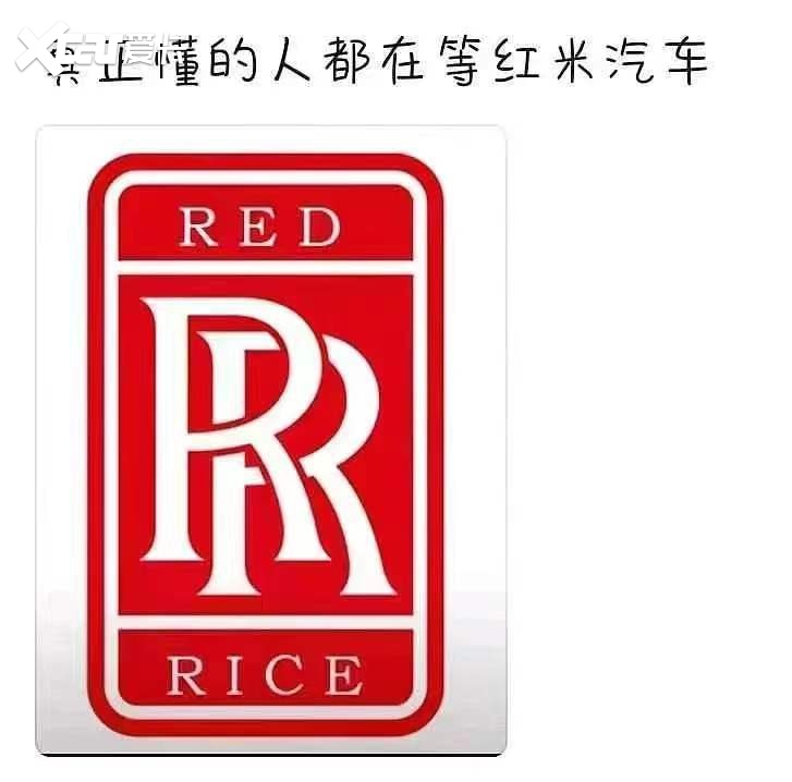 雷主播激情带货，小米汽车开局就稳赢？