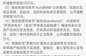 比亚迪重拳打击网络黑公关