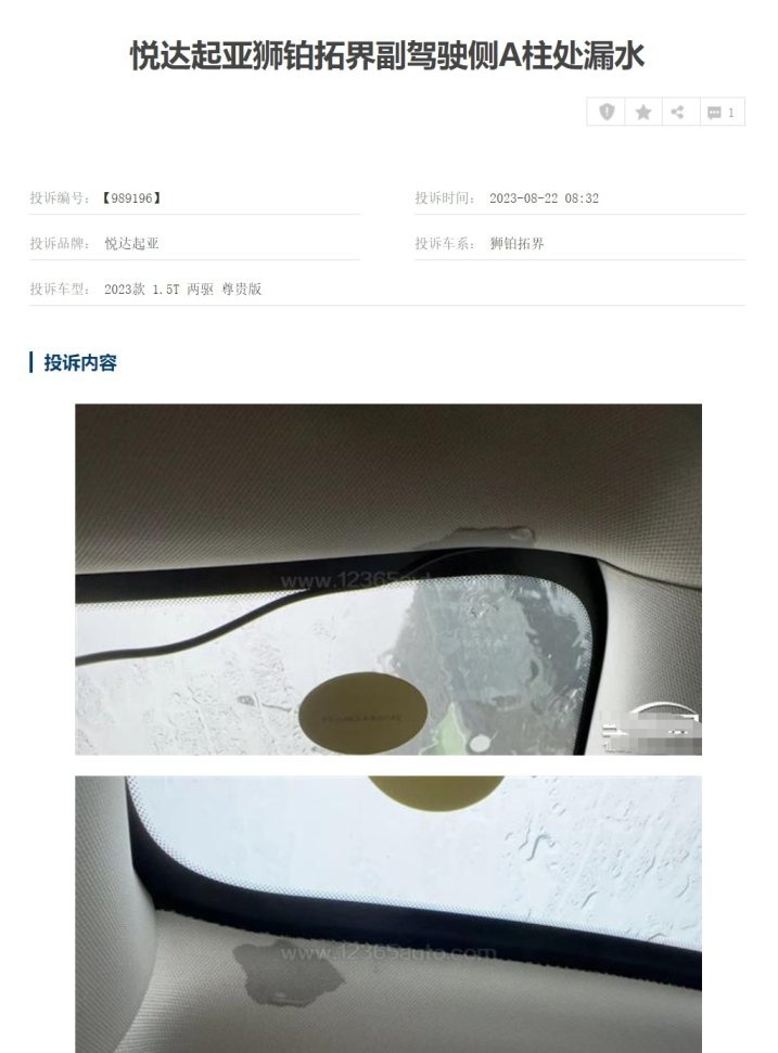 315特别报道：不解决好用户的这些问题，起亚狮铂拓界难有作为！