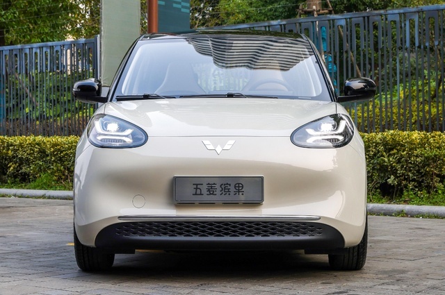 全球最畅销的新能源车：比亚迪6车进前十，只有三个外国品牌上榜