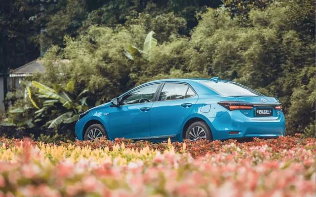 卡罗拉双擎E+，最省油的丰田车，百公里油耗4.5L，续航将近1000Km