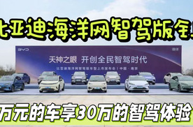 比亚迪海洋网智驾版全上，7万元的车享30万的智驾体验？