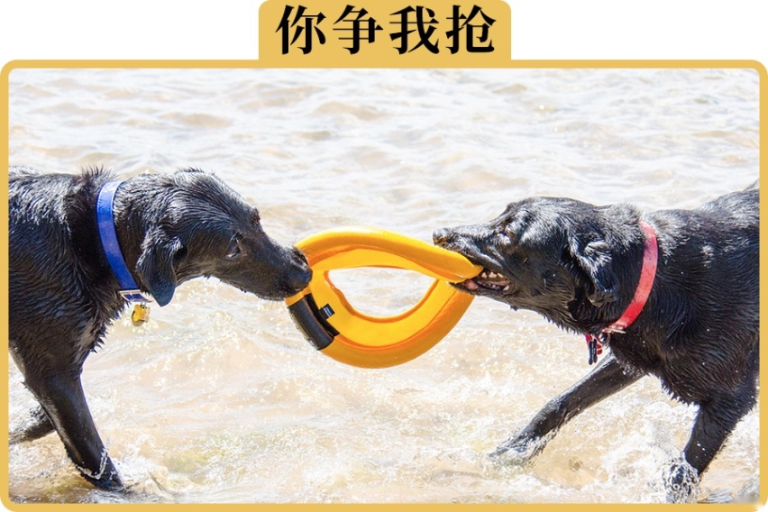 办理ETC，银行、支付宝哪种渠道最好