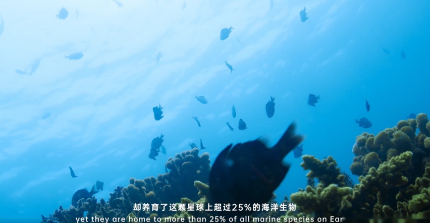 用绿色科技铸就美好明天，比亚迪带你走进“超级物种天堂”