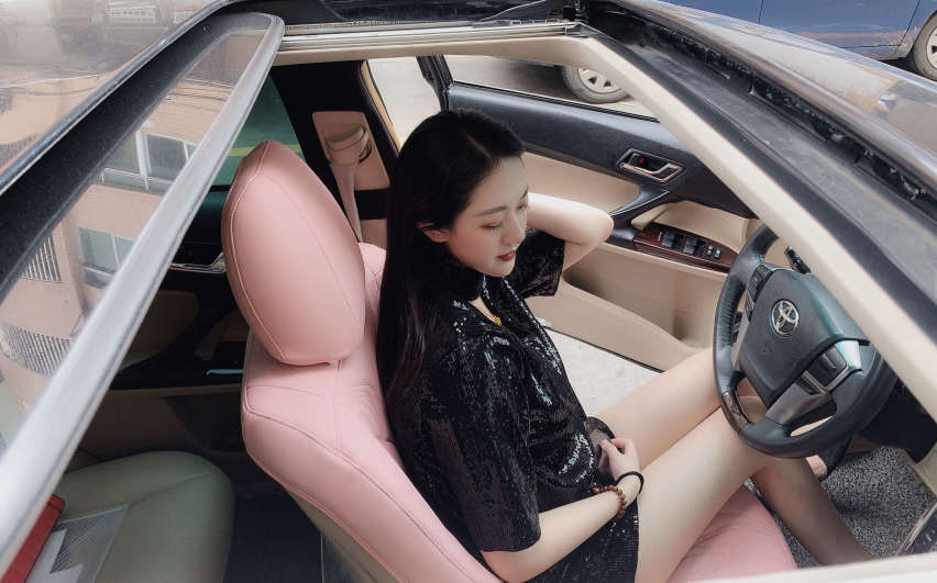 女神专属的汽车座套