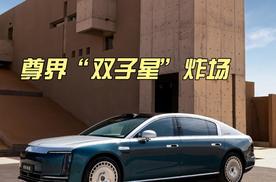 尊界“双子星”炸场！你的车库该换顶流了