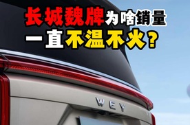 长城魏牌为啥销量一直不温不火？
