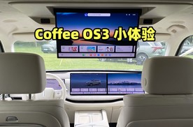 魏牌蓝山升级Coffee OS3系统，还有8295芯片加持，好用吗？