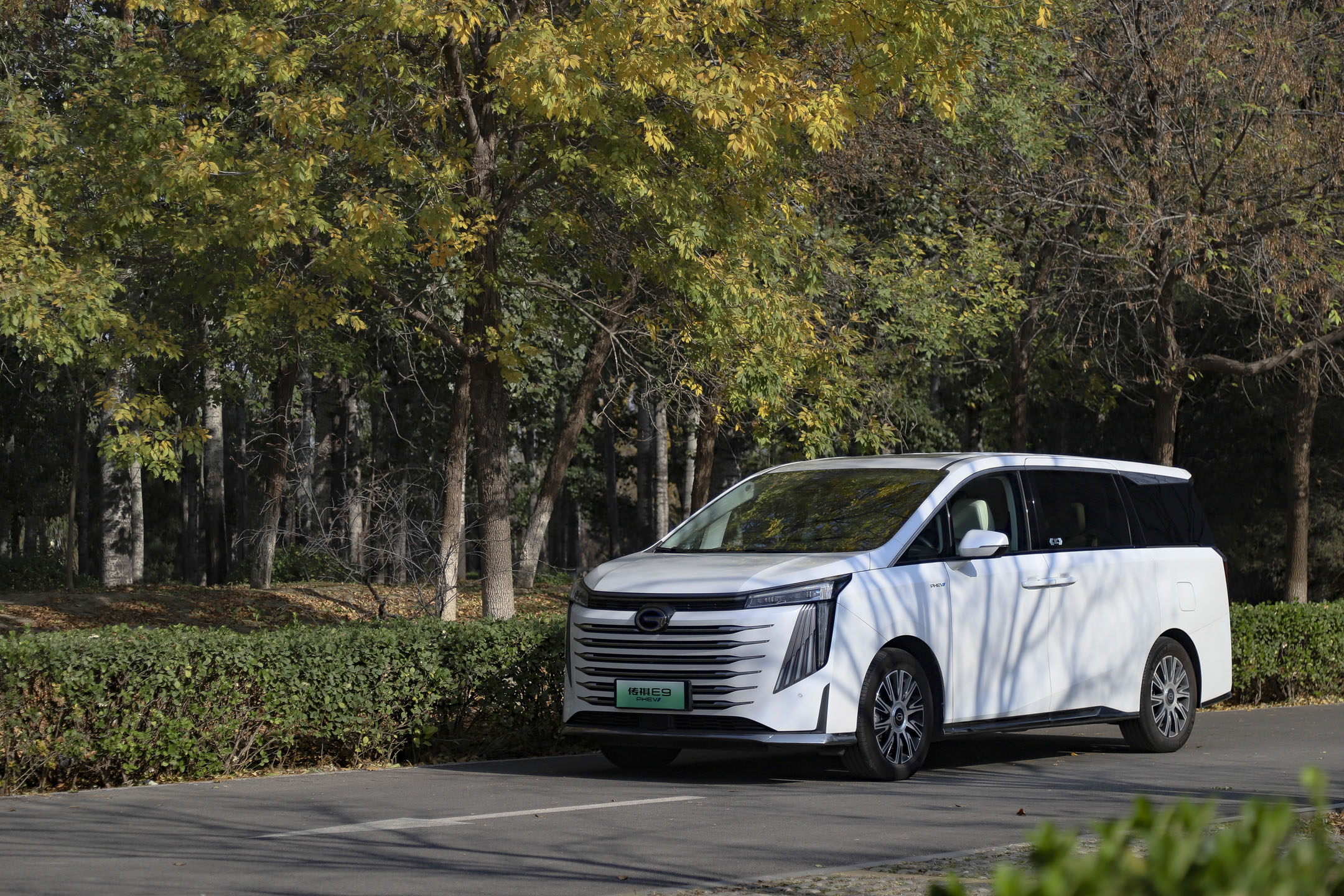 ��ԇ���^���ڵ���һ�N�x�� ����E9