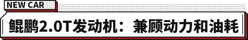 顶配不到15万 搭载2.0T 最大254马力！瑞虎8正式上市！